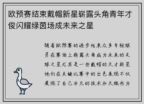 欧预赛结束戴帽新星崭露头角青年才俊闪耀绿茵场成未来之星